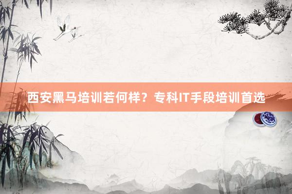 西安黑马培训若何样？专科IT手段培训首选