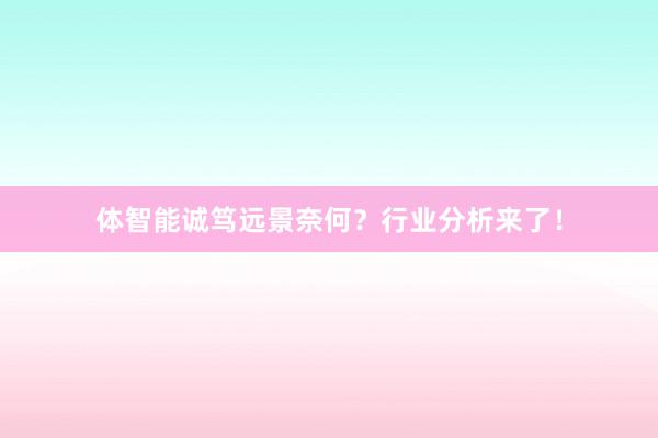 体智能诚笃远景奈何？行业分析来了！